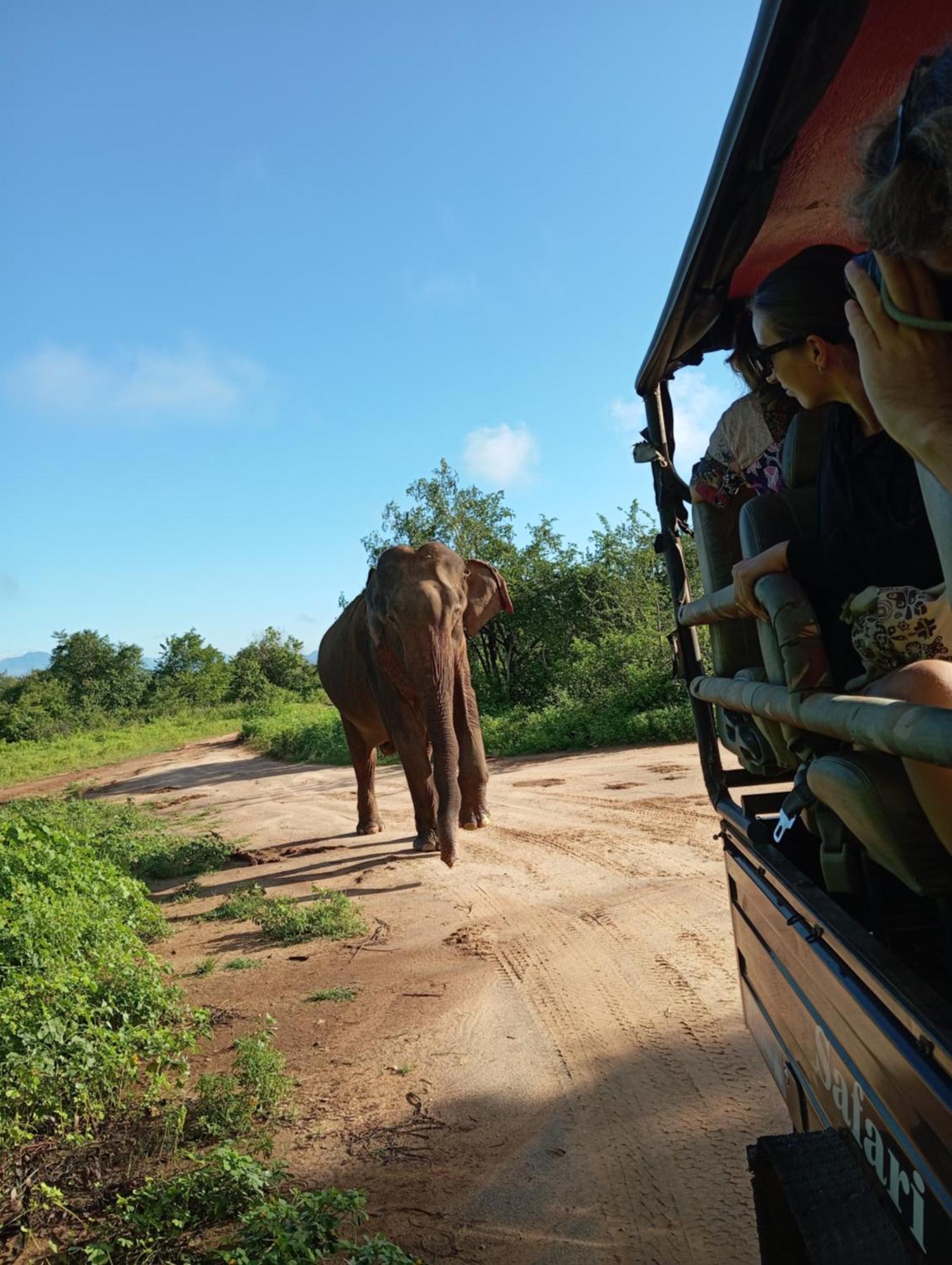 Tusker'S Paradise Safari Villa Udawalawe Exterior photo