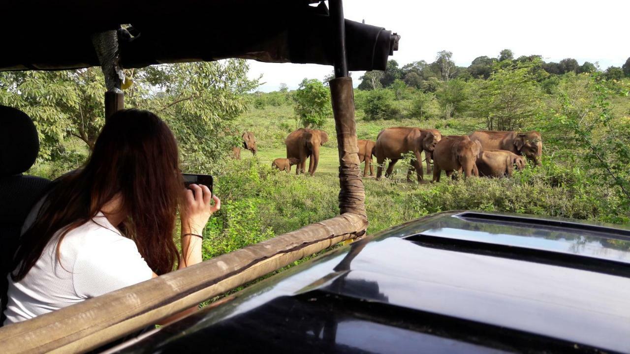 Tusker'S Paradise Safari Villa Udawalawe Exterior photo