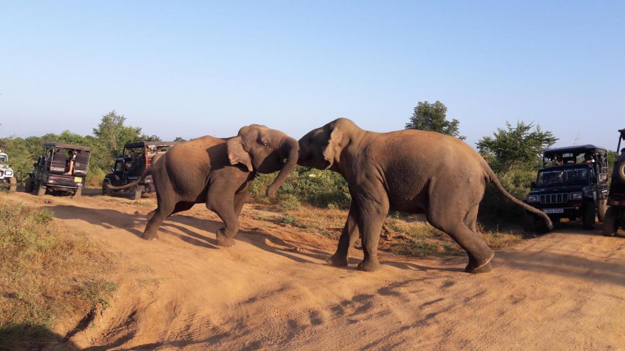 Tusker'S Paradise Safari Villa Udawalawe Exterior photo